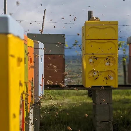 Coi De Pera * Ponte nell'Alpi