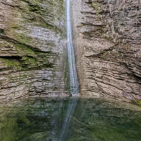 Coi De Pera *